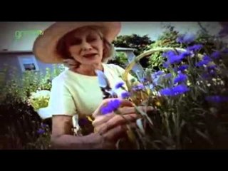 This is the National Wildlife Federation - 'Now's Our Time'