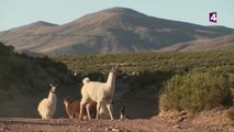 Dakar 2018/Les Recos : Le Dakar prend de l'altitude !