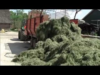 The Killing Fields - the battle to feed factory farms. Part 2