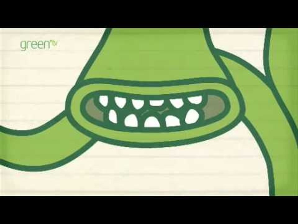 Meet Green Thing