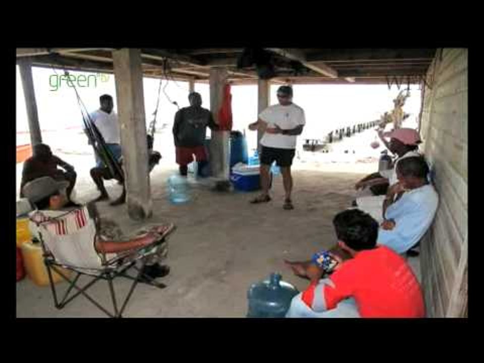 Saving sharks and Rays - Belize