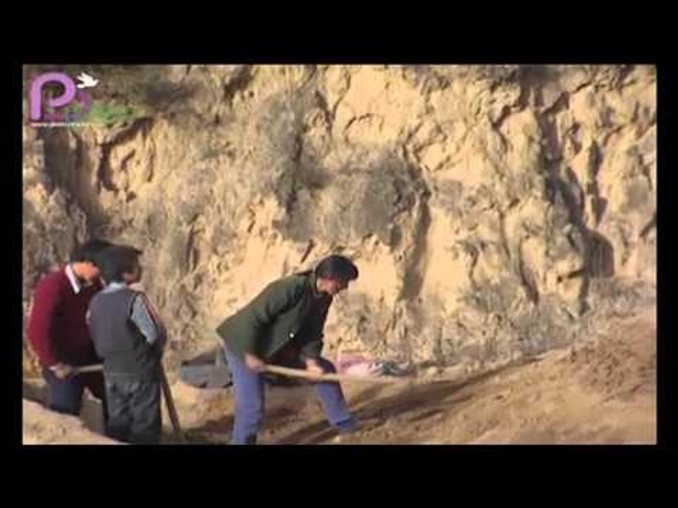 Loess Plateau