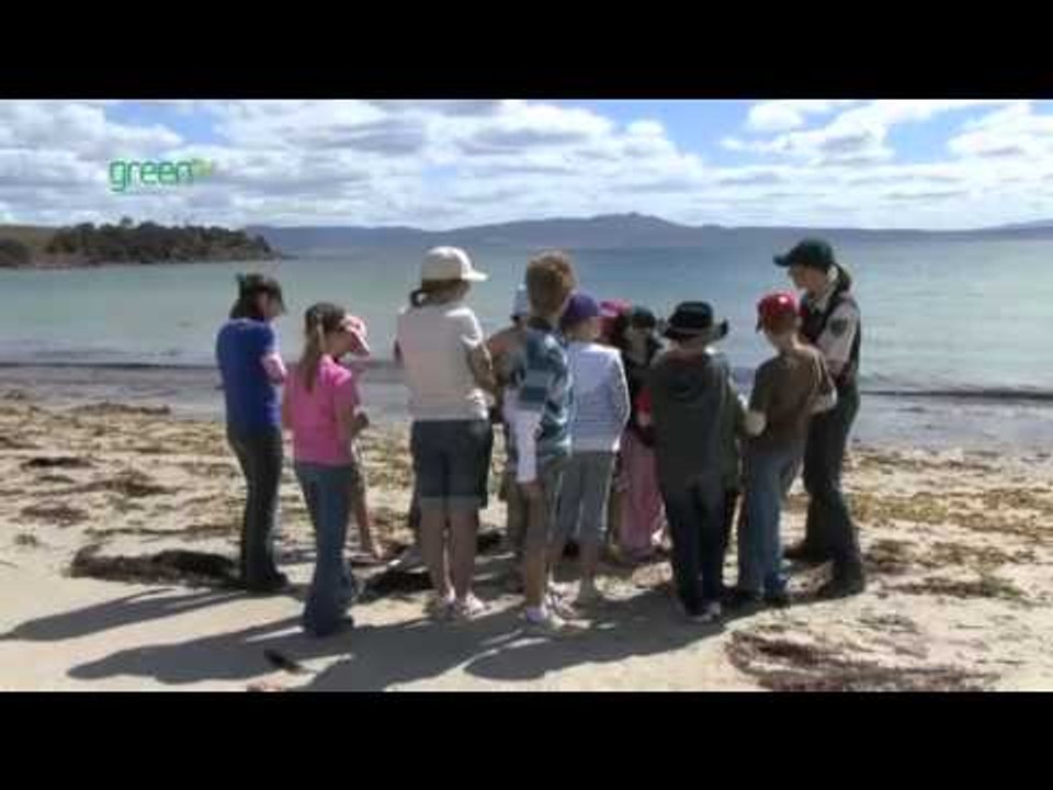 Maria Island Marine Reserve - Land and Sea interface