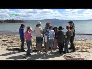 Maria Island Marine Reserve - Land and Sea interface
