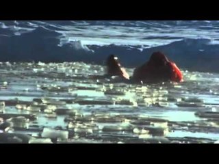 Ben & Jerry's Climate Change College