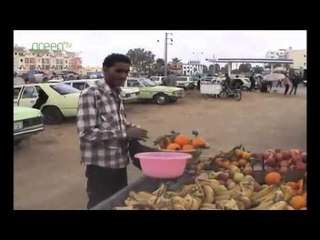 World's First Carbon-Negative Expedition