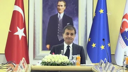 AB Bakanı Çelik, AB Düşünce Grubu'nu Kabul Etti