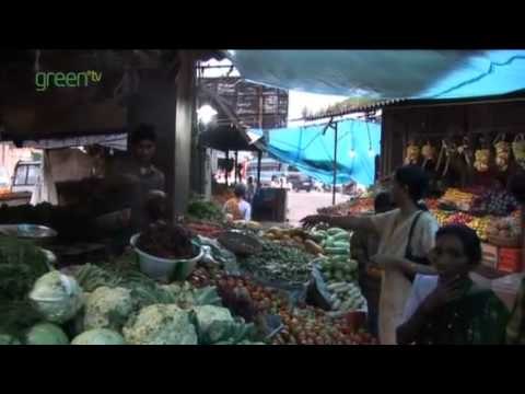 Carbon offsetting in India