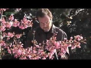 Climate Change at Kew