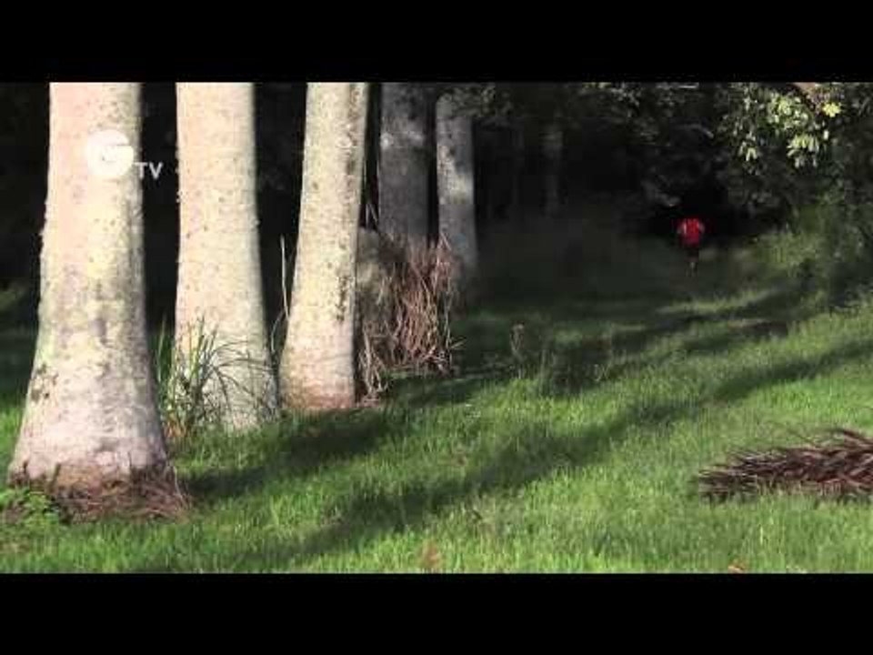 WWF: The Runner