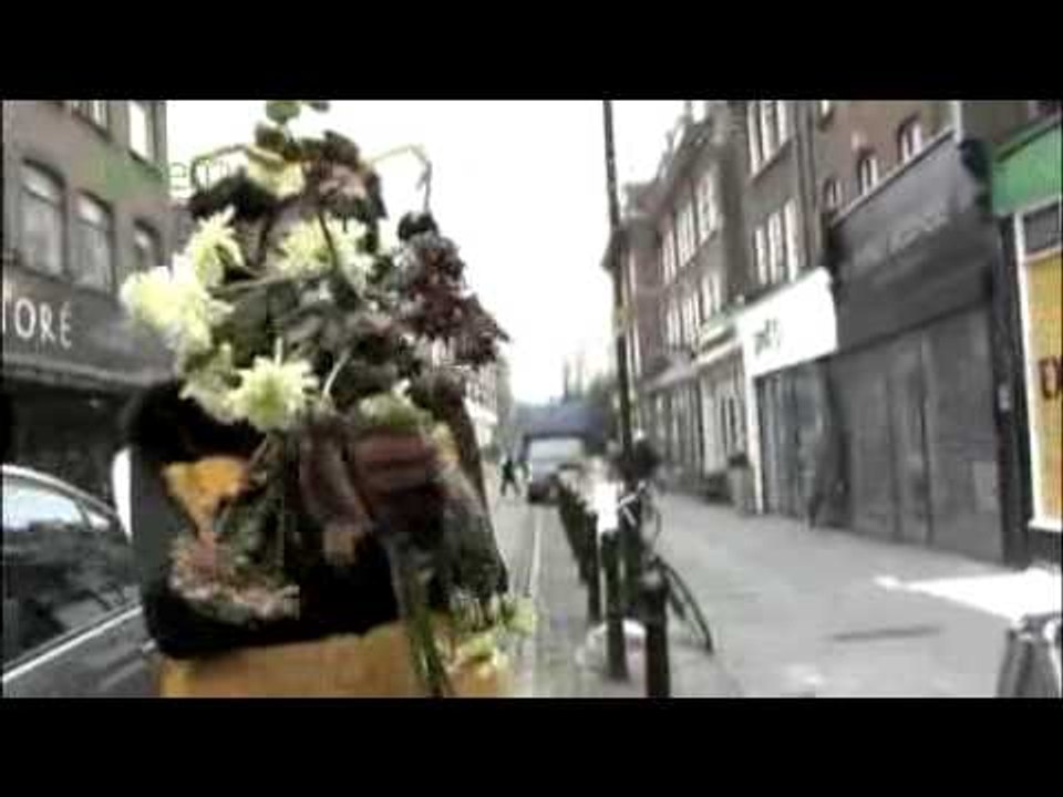 Countdown 2010 - Save Biodiversity!