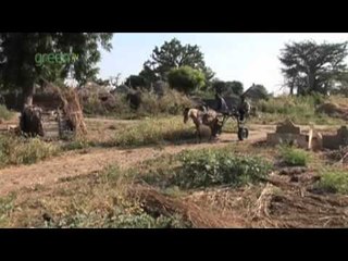 Drip Irrigation