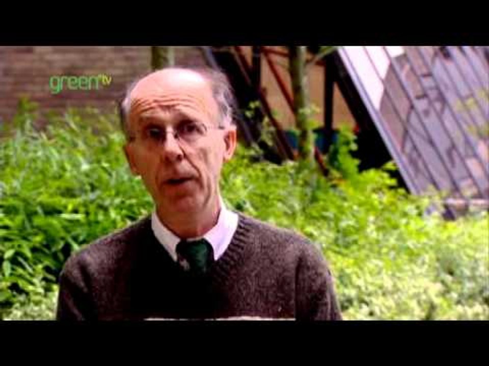 Gaining ground - In pursuit of ecological susta...