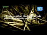 Fairtrade Sugar - Farmers' stories from Belize