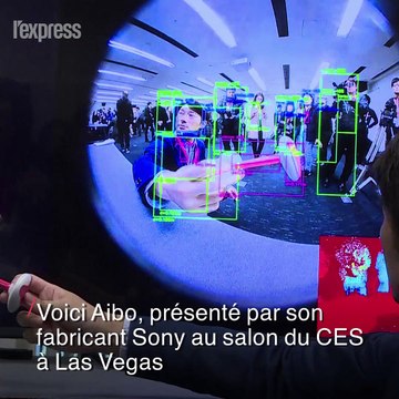 Un robot chien bientôt en vente au Japon