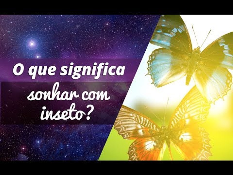 O que significa sonhar com inseto?