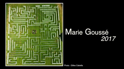 Extrait 17 Les différents types de public