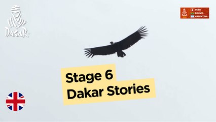 Magazine - Stage 6 (Arequipa / La Paz) - Dakar 2018