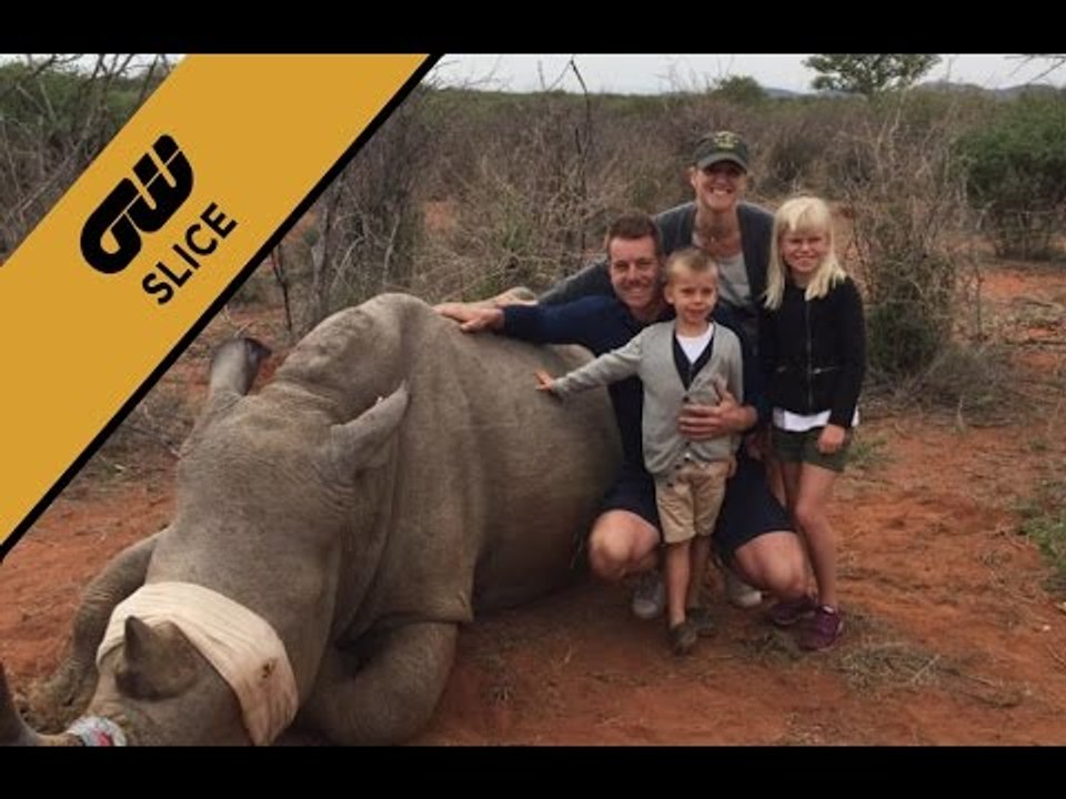 GW Slice: Safari Stenson the lifesaver