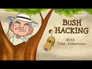 Bush Hacking with Tony Johnstone - Tracking