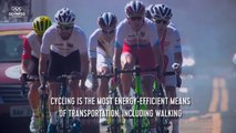 The Facts Behind Road Cycling _ Olympic Insider-fERov7