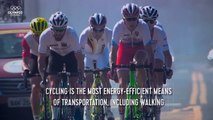 The Facts Behind Road Cycling _ Olympic Insider-fERov7DL1LI