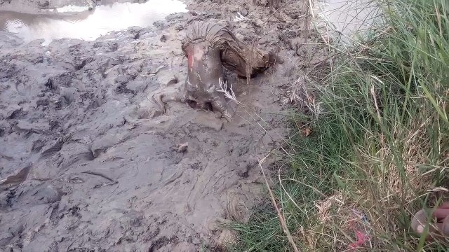Children Playing Mud Games