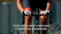 The Facts Behind Road Cycling _ Olympic Insider-fERov7DL1LI