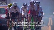 The Facts Behind Road Cycling _ Olympic Insider-fERov7DL1LI
