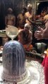 जय श्री महाकाल  श्री महाकालेश्वर ज्योतिर्लिंग का आज का पंचामृत अभिषेक स्नान दर्शन विडियो