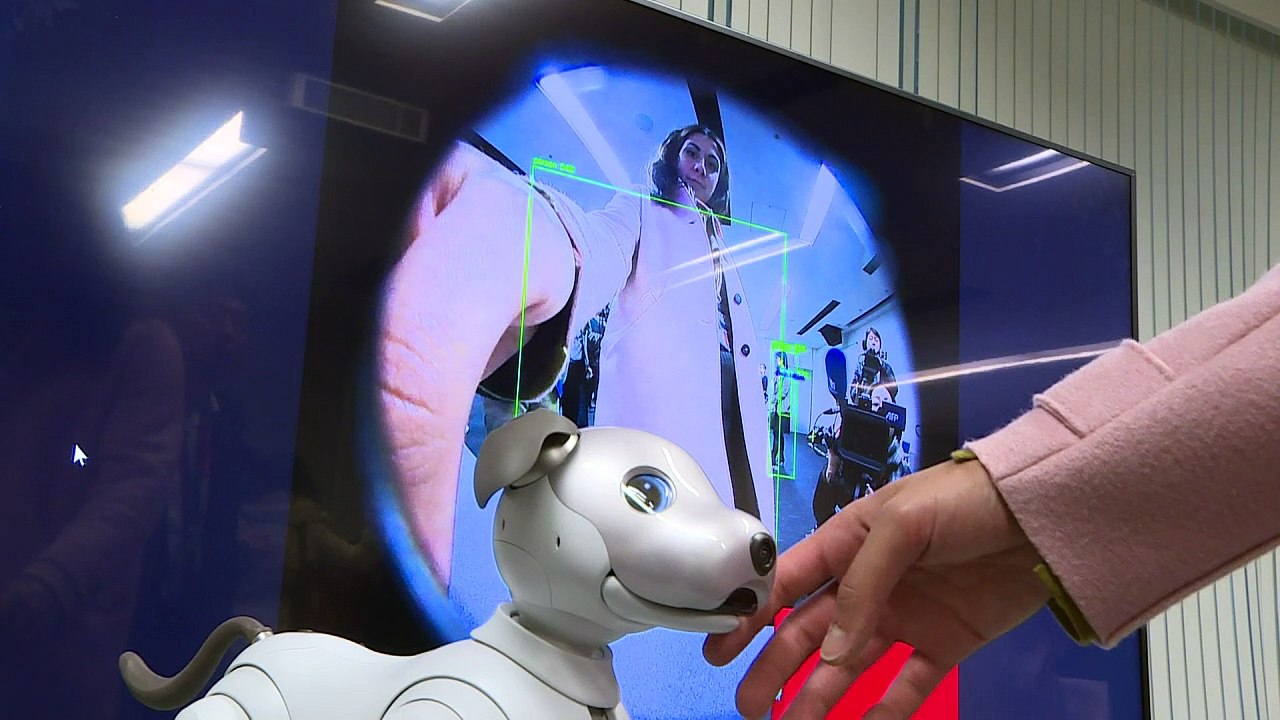 Sony bringt neuen Roboterhund 'Aibo' auf den Markt