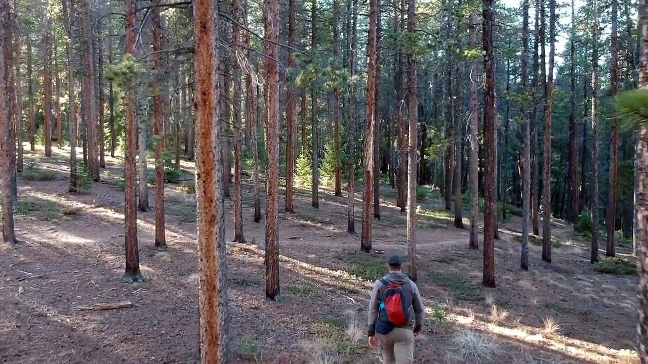 Pocket Size Ultralight Daypacks by Osprey & Sea To Summit