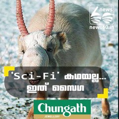 "Sci-Fi" കഥയല്ല....ഇത് സൈഗ