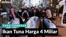 Ikan Tuna Harga 4 Miliar