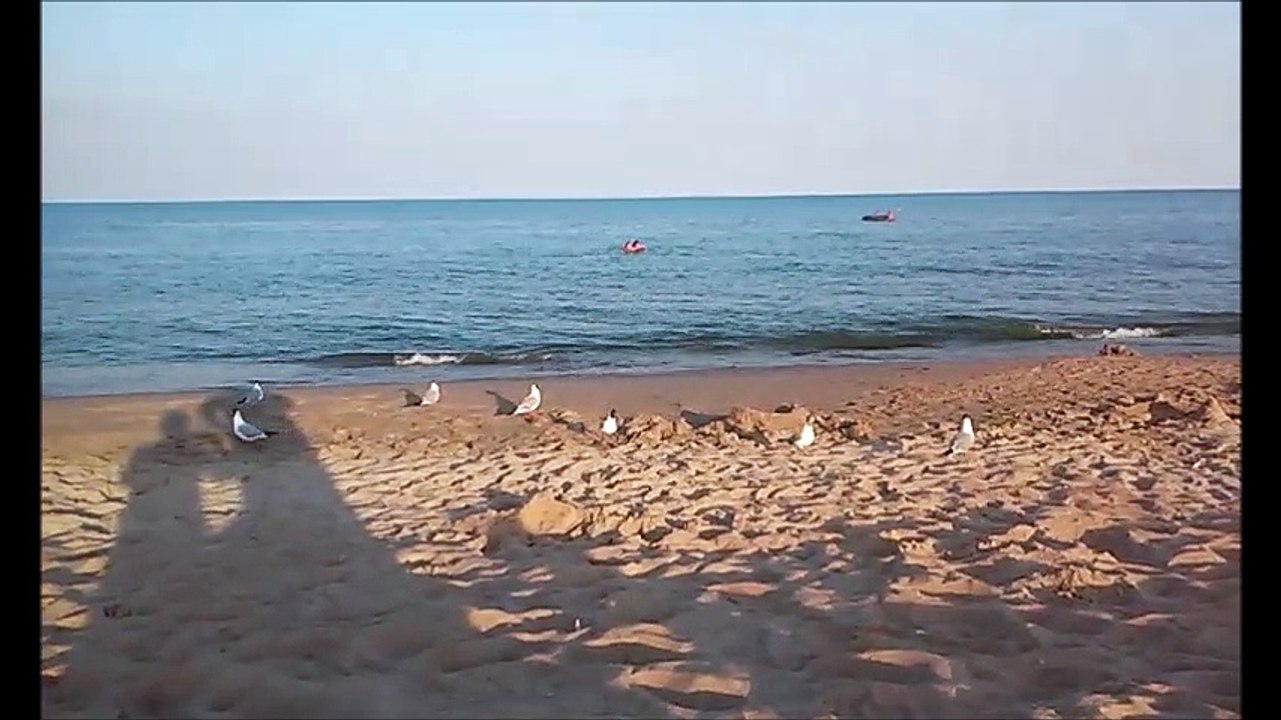 Затока. Лето. Отдых. Море.