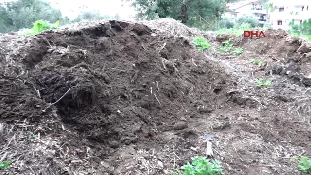 Muğla Marmaris Belediyesi'nden Bitki ve Fidanlara Can Veren Çalışma