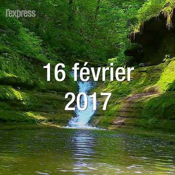Oléoducs, forage, chasse aux loups... Trump à l'assaut de l'environnement