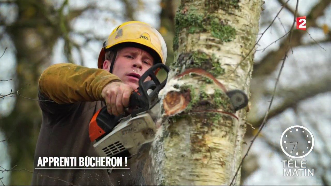 Jardin - Apprenti Bûcheron !