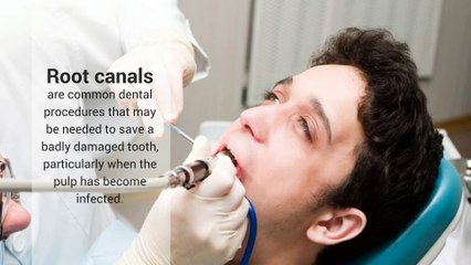 Best Root Canal Treatment In Chicago & Glenview, IL