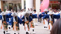 Enjoy Awesome Traditional Japanese Dance