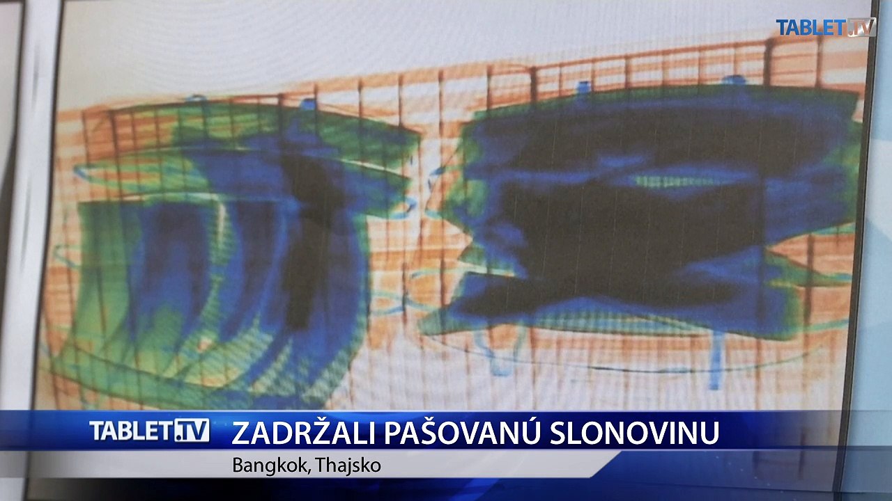 Thajská polícia zadržala v Bangkoku takmer 150 kilogramov pašovanej slonoviny