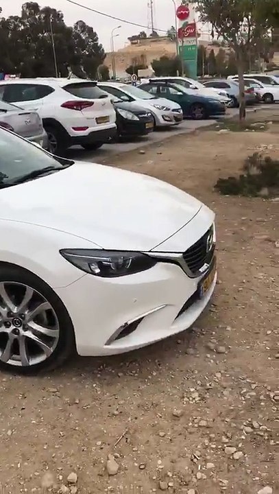 Un bouc malin a trouvé comment cueillir des fruits perchés trop haut dans un arbre