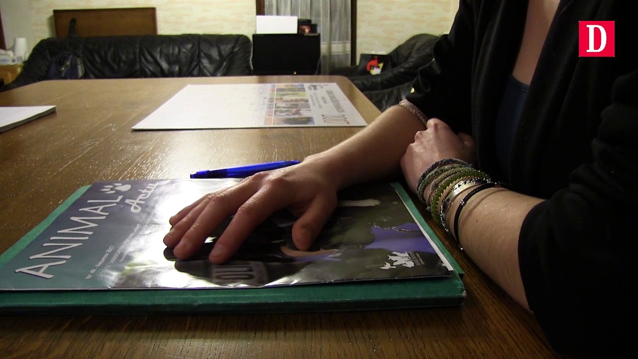 Diablo le chat s'est fait tirer dessus