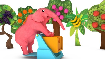 Learn Fruits Bannana Elephant Color Learn Number W Cartoon Nursery Rhymes For Kids