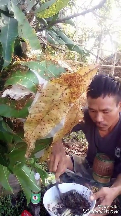ခါခ်ဥ္ဥကို လုစားသူ (႐ုပ္သံ)