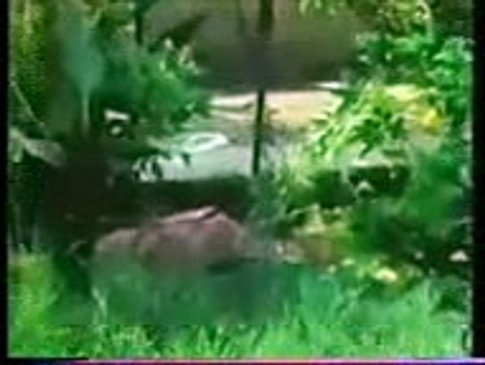 مسلسل هروب الحلقة 2