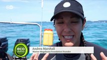 Protecting the Mantas of Mozambique | DW English