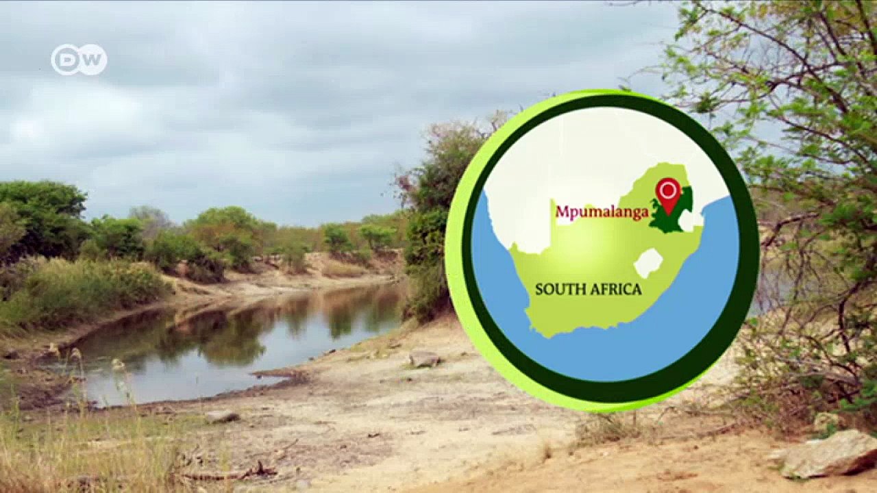 Using photography as a conservation tool | DW English