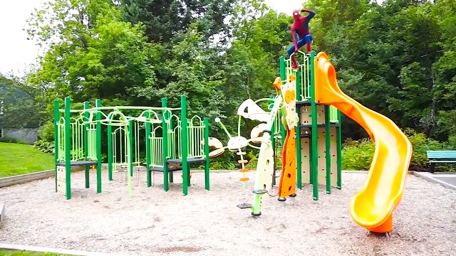 Frozen Elsa BECOMES A DOG w Joker Spidergirl Spiderman Toys Princess Superhero Fun in real life IRL | Superheroes | Spiderman | Superman | Frozen Elsa | Joker