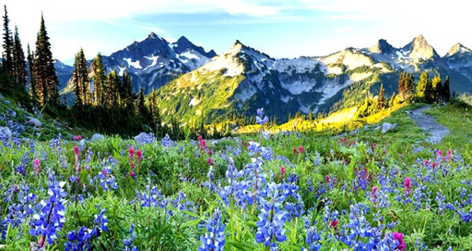 Türkiye'nin En Büyük Kayak Tesisi, Kaçkar Dağları'na Yapılacak
